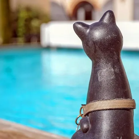 度假居 Maison De Charme - Piscine - Hypercentre - 300m2 Lisle-sur-Tarn