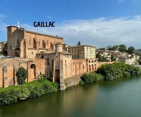 Дом отдыха Maison Gambetta - Piscine - Hypercentre -