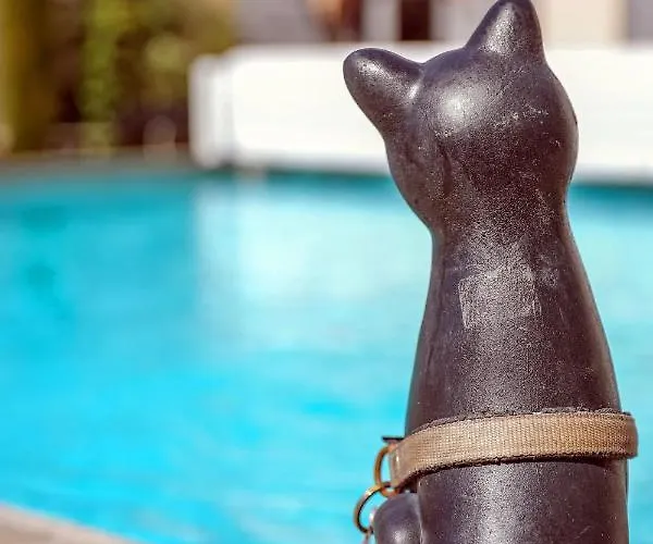 Ferienhaus Maison De Charme - Piscine - Hypercentre - 300m2 Lisle-sur-Tarn