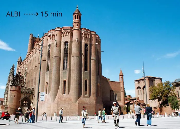 Maison De Charme - Piscine - Hypercentre - 300m2 Lisle-sur-Tarn